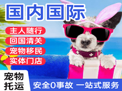 琼海空运代理国际宠物托运 【国